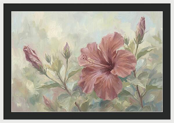 Hibiscus Bloom In Soft Hues