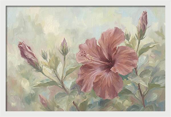 Hibiscus Bloom In Soft Hues