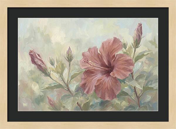 Hibiscus Bloom In Soft Hues