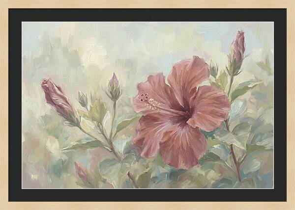 Hibiscus Bloom In Soft Hues
