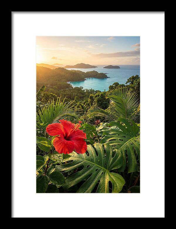 Hibiscus In Tropical Paradise