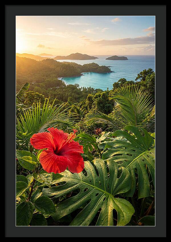 Hibiscus In Tropical Paradise