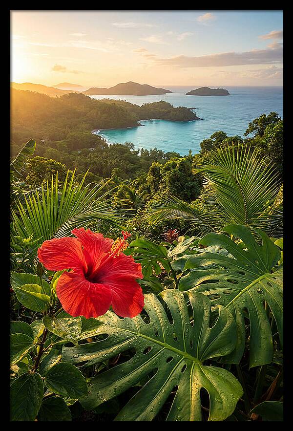 Hibiscus In Tropical Paradise