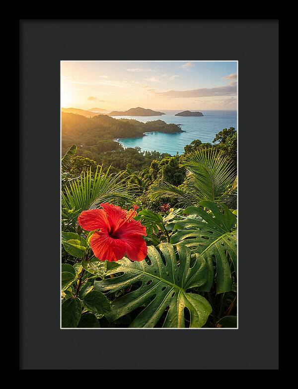 Hibiscus In Tropical Paradise