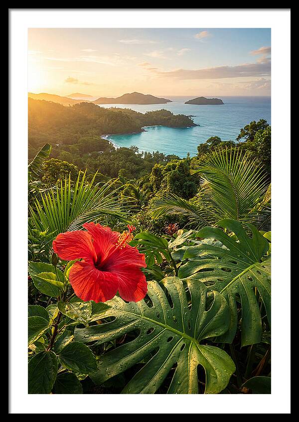 Hibiscus In Tropical Paradise