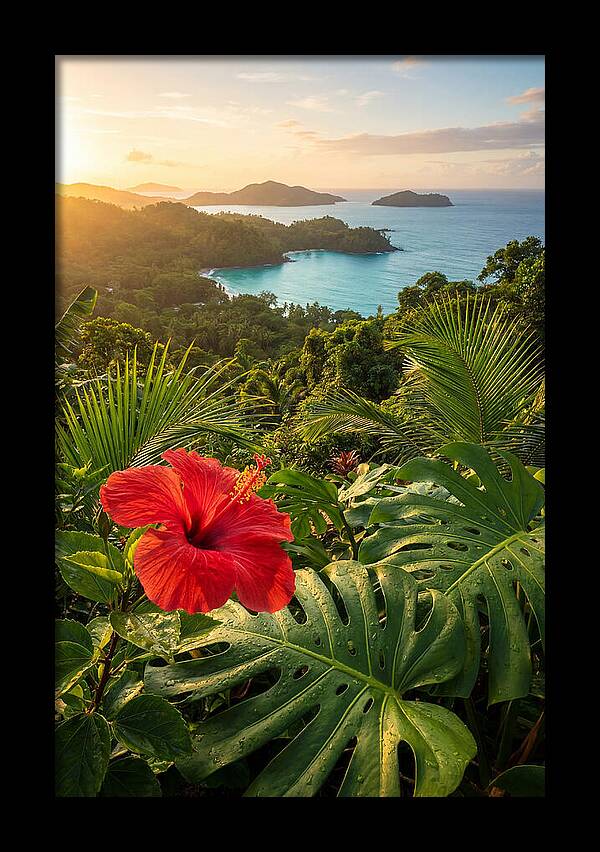Hibiscus In Tropical Paradise