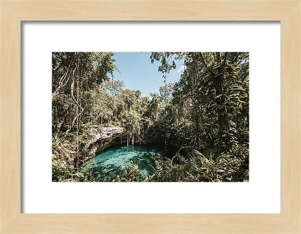 Hidden Cenote Oasis