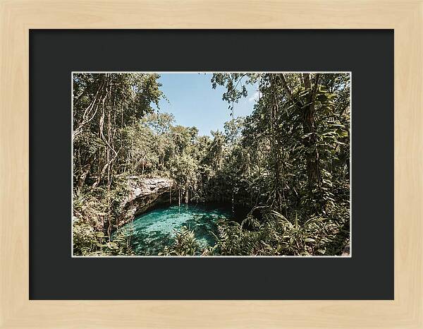 Hidden Cenote Oasis