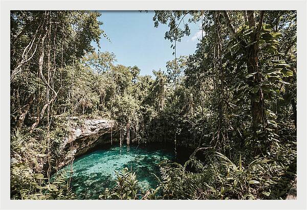 Hidden Cenote Oasis