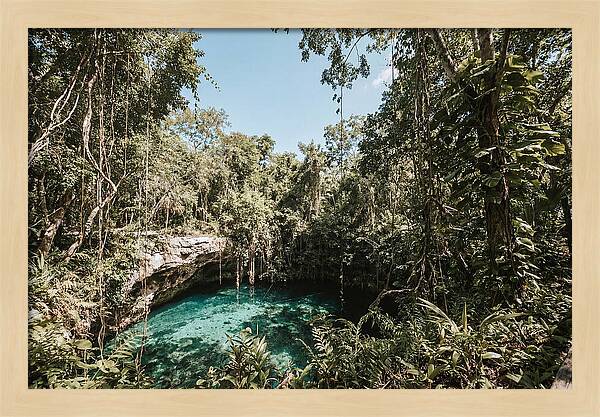Hidden Cenote Oasis