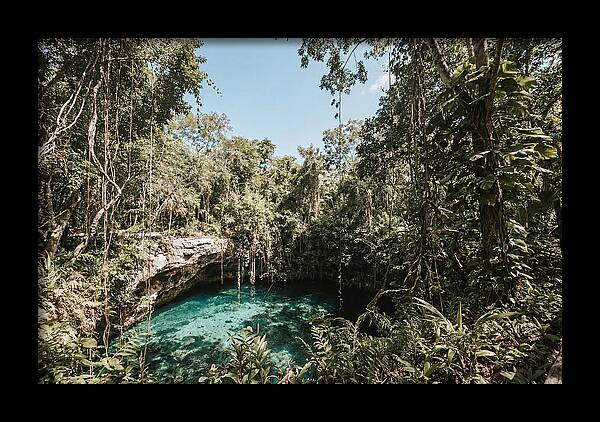 Hidden Cenote Oasis