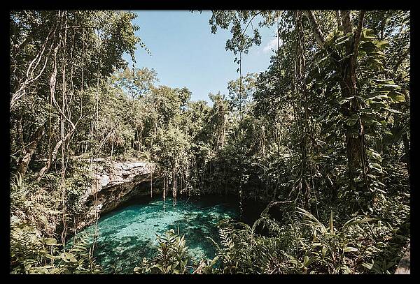 Hidden Cenote Oasis