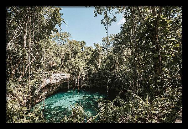 Hidden Cenote Oasis
