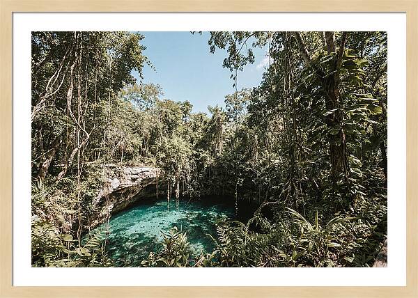 Hidden Cenote Oasis