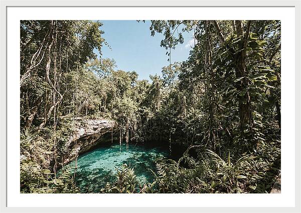 Hidden Cenote Oasis