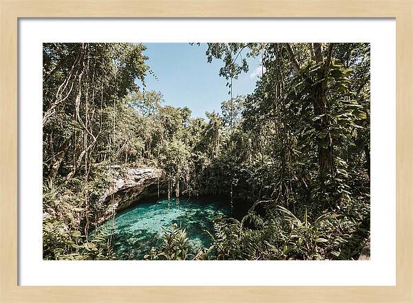 Hidden Cenote Oasis