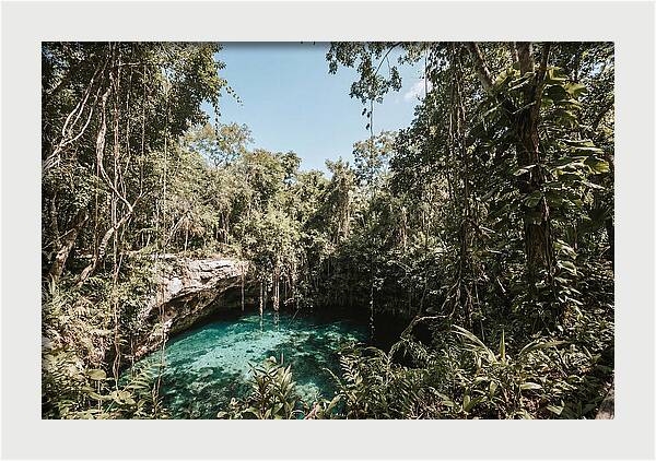 Hidden Cenote Oasis