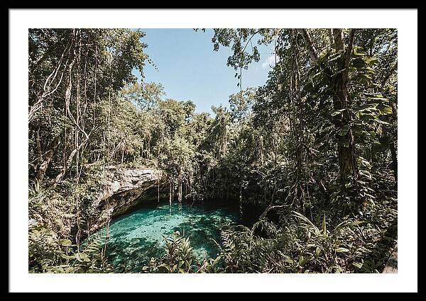 Hidden Cenote Oasis