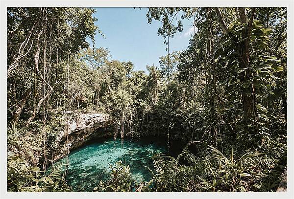 Hidden Cenote Oasis