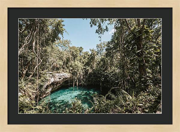 Hidden Cenote Oasis