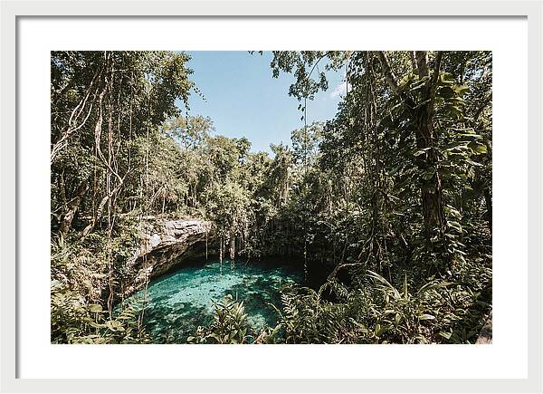 Hidden Cenote Oasis