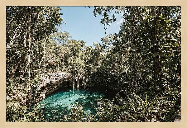 Hidden Cenote Oasis