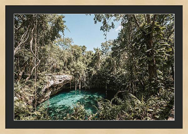 Hidden Cenote Oasis