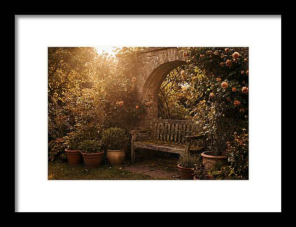 Hidden Garden Corner With Bench