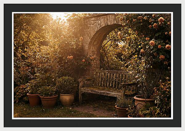 Hidden Garden Corner With Bench