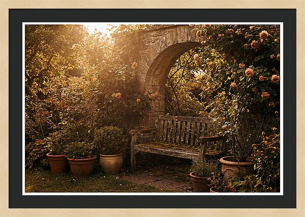 Hidden Garden Corner With Bench