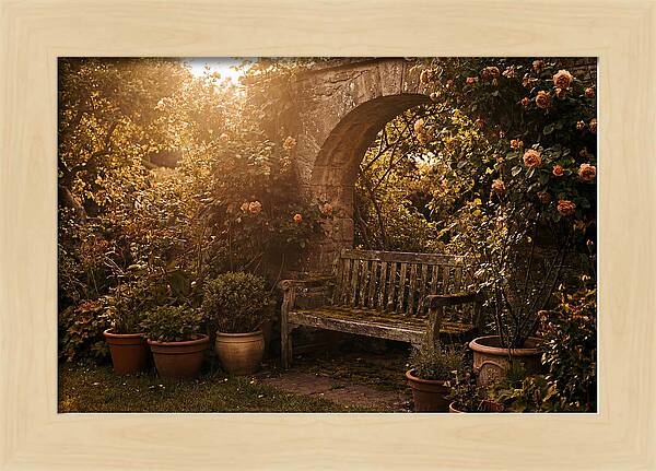 Hidden Garden Corner With Bench