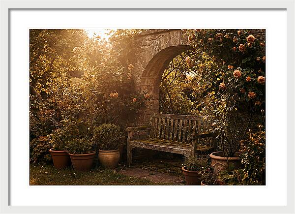 Hidden Garden Corner With Bench
