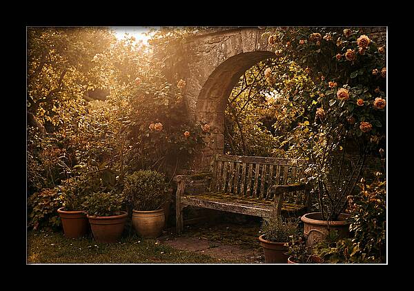 Hidden Garden Corner With Bench