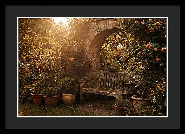Hidden Garden Corner With Bench