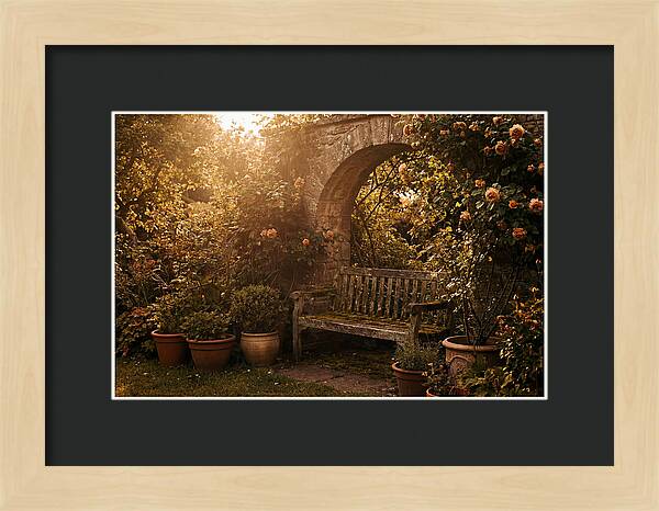 Hidden Garden Corner With Bench