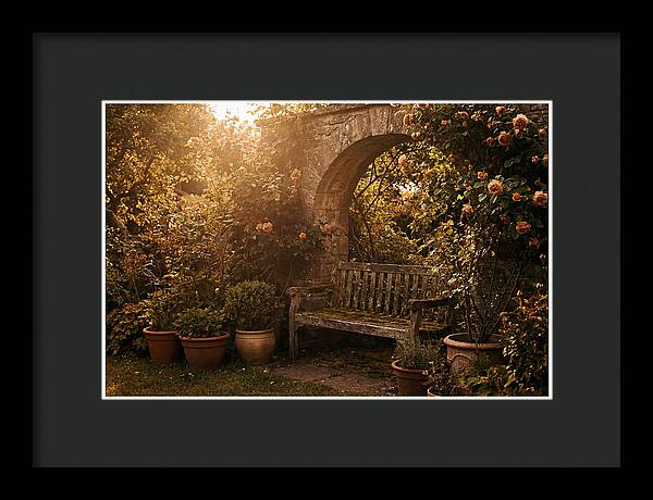 Hidden Garden Corner With Bench