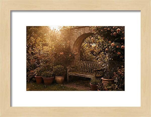 Hidden Garden Corner With Bench