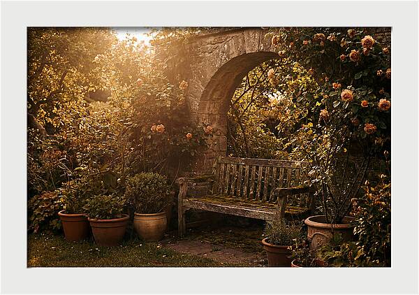 Hidden Garden Corner With Bench