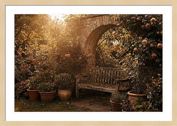 Hidden Garden Corner With Bench