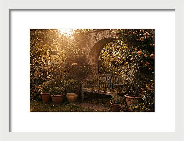 Hidden Garden Corner With Bench