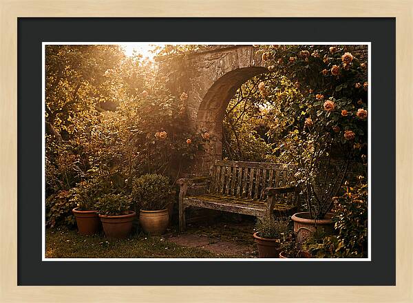 Hidden Garden Corner With Bench