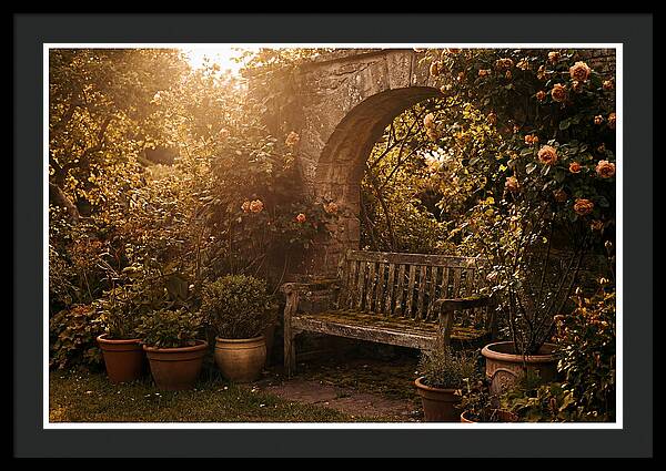 Hidden Garden Corner With Bench