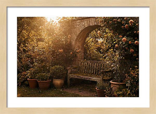 Hidden Garden Corner With Bench