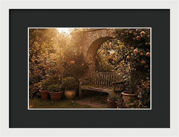 Hidden Garden Corner With Bench