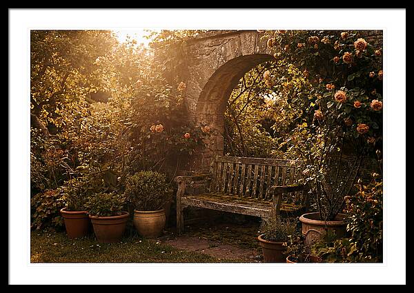 Hidden Garden Corner With Bench