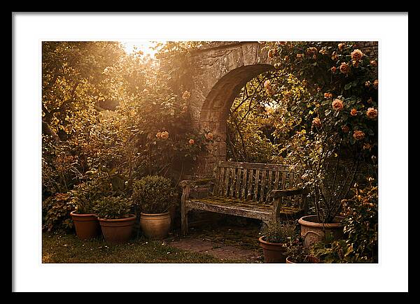 Hidden Garden Corner With Bench