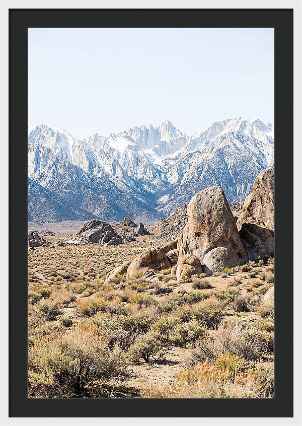 High Altitude Desert Serenity
