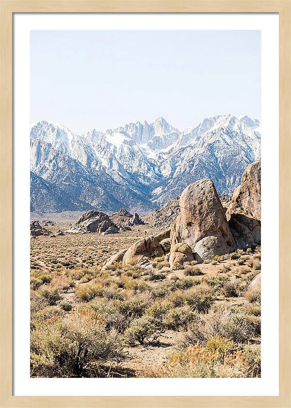 High Altitude Desert Serenity