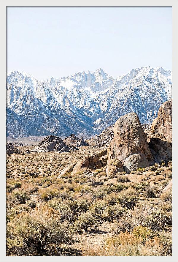 High Altitude Desert Serenity