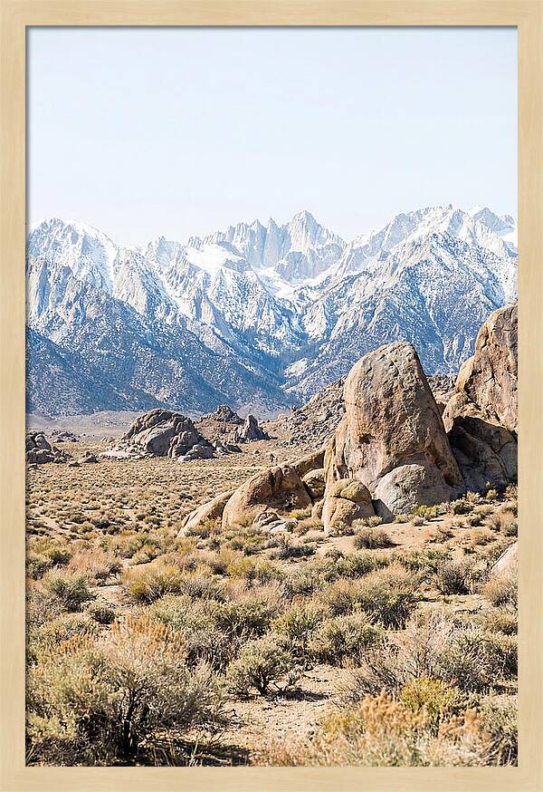 High Altitude Desert Serenity